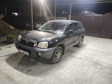 Hyundai: Hyundai Santa Fe: 2003 г., 2.4 л, Механика, Бензин, Внедорожник