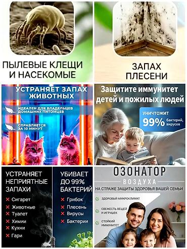 Дезинфекция, дезинсекция, | Вирусы, микробы, | Подвал, погреб, Транспорт, Квартиры at lalafo.kg Дезинфекция, дезинсекция, | Вирусы, микробы, | Подвал, погреб, Транспорт, Квартиры