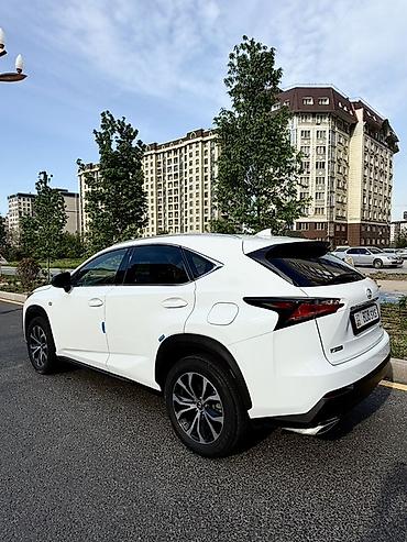 Lexus: Lexus NX: 2017 г., 2 л, Вариатор, Бензин, Кроссовер — 12