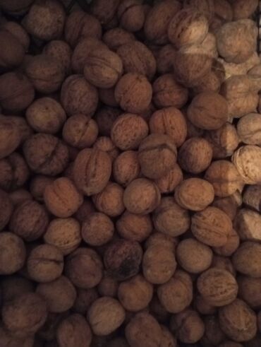 Сухофрукты, орехи, снеки: Орехи цена 1000 сом