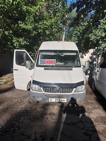 Баруучу жер: Бардык багыттар, Орундардын саны: 17, Лицензия №: 08В006301