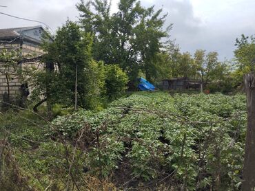 Həyət evləri və villaların satışı: 6 otaqlı, 225 kv. m, Kredit yoxdur, Orta təmir -da lalafo.az — 15 Həyət evləri və villaların satışı: 6 otaqlı, 225 kv. m, Kredit yoxdur, Orta təmir — 15