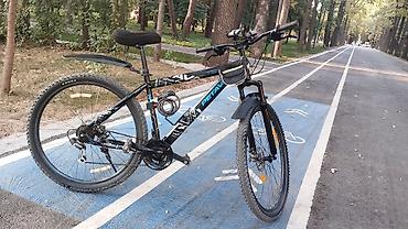 single speed: Горный велосипед, Рама XL (180 - 195 см), Новый — 1