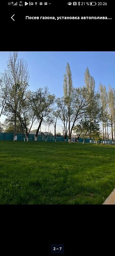 скарификатор: Посев газона и установка автополива под ключ. Что делаем: - — 3