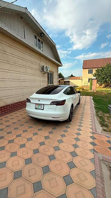 Tesla: Tesla Model 3: 2021 г., Автомат, Электромобиль, Седан — 5