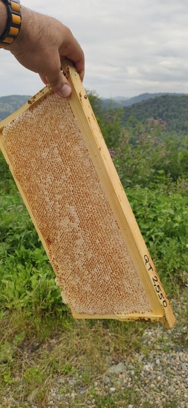 Bal: Elf bee's 1977 eco product for health and longevity tovuzun -da lalafo.az — 9 Bal: Elf bee's 1977 eco product for health and longevity tovuzun — 9