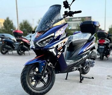Скутеры: Скутеретта Honda, 150 куб. см, Бензин, Новый, В рассрочку