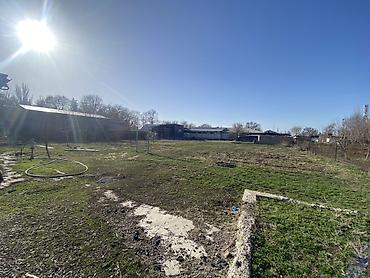 Продажа коттеджей и домов: Дом с участком 30 соток Местоположение: Чуйская область, Аламединский — 4