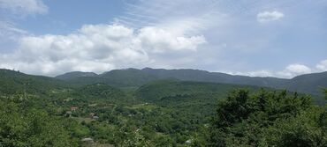 Torpaq sahələrinin satışı: 12 sot, Mülkiyyətçi, Kupça (Çıxarış) — 9