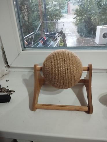 мышык арзан: Игрушка для кошек за 300 с — 1