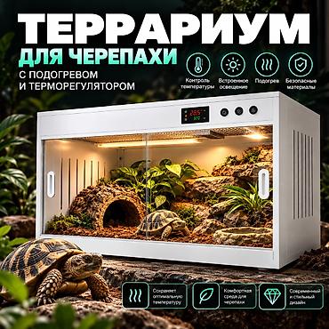 🐢 ТЕРРАРИУМ ДЛЯ ЧЕРЕПАХИ С ПОДОГРЕВОМ И ТЕРМОРЕГУЛЯТОРОМ Создайте