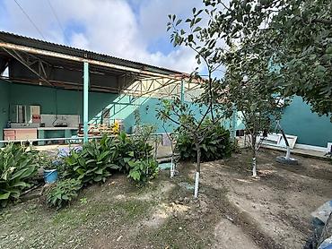 bilecerde: Həyətyanı sahəsi olan fərdi yaşayış evi 🏠 Kirayə ev verilir ​Ünvan — 5