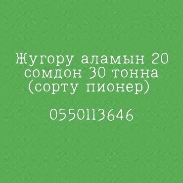 Животные: Жүгөрү аламы 30 тонна