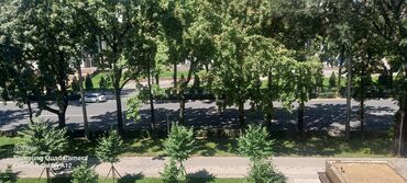 снять комнату: 1 комната, Собственник, С подселением, С мебелью полностью