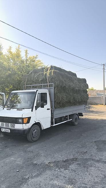 уаз 3033: Грузовик, Mercedes-Benz, Стандарт, 4 т, Б/у — 4