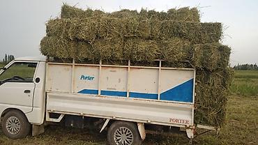 фолсваген lt: Hyundai Porter (Porter/Porter 1) бортовой малотоннажный грузовик - — 1