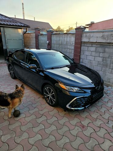 сколько стоит тойота альфард: Toyota Camry: 2020 г., 2.5 л, Автомат, Бензин, Седан