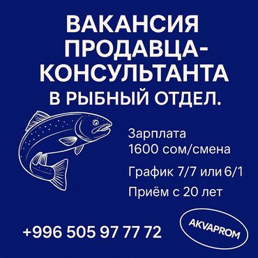 ищу работу город ош: 🎯 ВАКАНСИЯ ПРОДАВЦА- КОНСУЛЬТАНТА В РЫБНЫЙ ОТДЕЛ. Приём на работу с