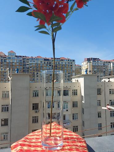 Vazalar: Bir vaza, Bogem şüşəsi — 2