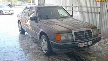 Mercedes-Benz: Mercedes-Benz 230: 1991 г., 2.3 л, Механика, Бензин, Седан