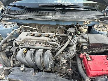 Toyota: Toyota Matrix: 2004 г., 1.8 л, Автомат, Бензин, Хэтчбэк — 7