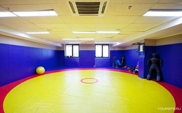 Другое для спорта и отдыха: Канат борцовские ковры гимнастические маты груши чучело медболы — 3