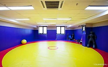 Другое для спорта и отдыха: Ковры маты даянги татами дзюдо борцовские ковры гимнастические маты — 4