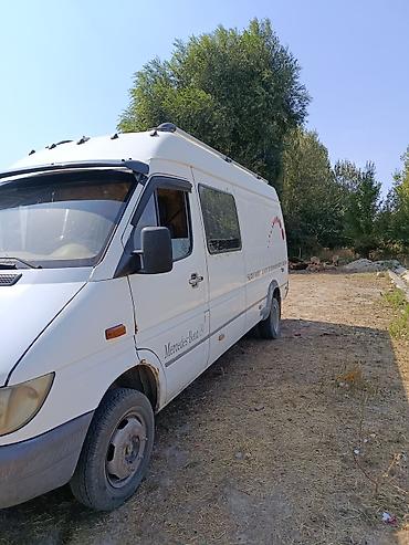силк вэй: Mercedes-Benz Спринтер: 2004 г., 2.9 л, Механика, Дизель — 3