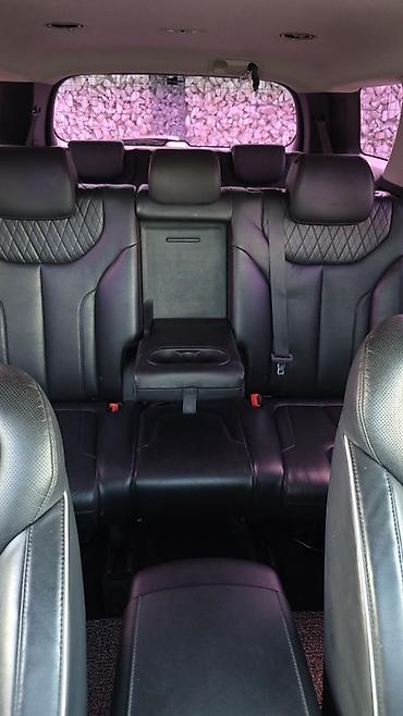 cls 55: Hyundai Palisade: 2019 г., 2.2 л, Автомат, Дизель, Кроссовер — 6