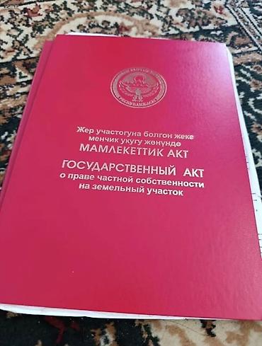 участак ак ордо: 5 соток, Красная книга — 1