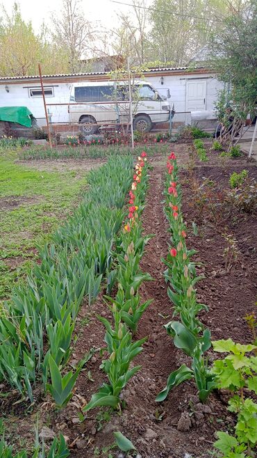 Продажа домов: Дом, 60 м², 4 комнаты, Собственник, Косметический ремонт — 12