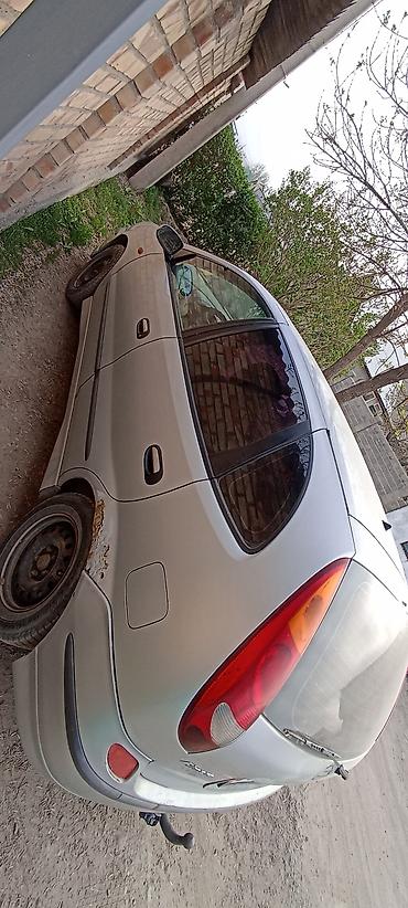 Nissan: Nissan Almera Tino: 2000 г., 2.2 л, Механика, Дизель, Минивэн — 4