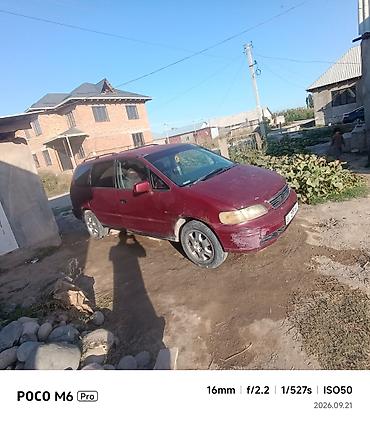 решотка одиссей: Honda Odyssey: 1997 г., 2.2 л, Автомат, Бензин, Минивэн — 1