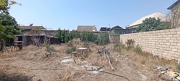 sahe: 10 sot, Biznes üçün, Makler, Kupça (Çıxarış) — 8