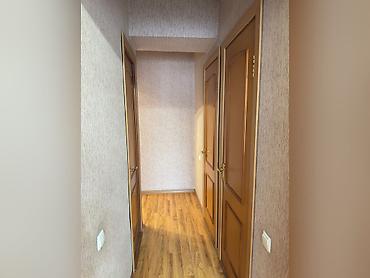 1987: 2 комнаты, 64 м², ЗАГС/Цирк Индивидуалка, 7 этаж, Евроремонт — 3