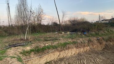 Torpaq sahələrinin satışı: Kənd təsərrüfatı — 6