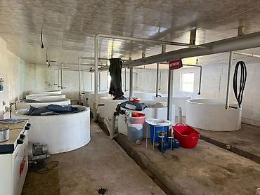 Продажа другой коммерческой недвижимости: 🐟 Продаётся действующее рыбное хозяйство с развитой инфраструктурой 📍 — 10