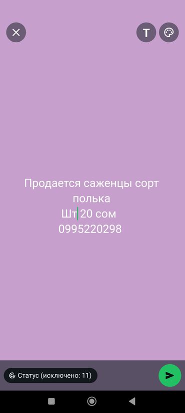 грохус удобрение состав: Саженцы малины «Полька». - Ремонтантный сорт: плодоношение до