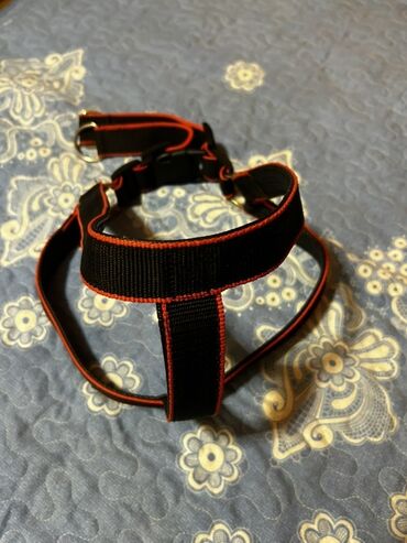 Xaltalar, qayışlar və tasmalar: İt aksesuarları dəsti, tek tek qiymetler qeyd edilib endirim yoxdur — 2