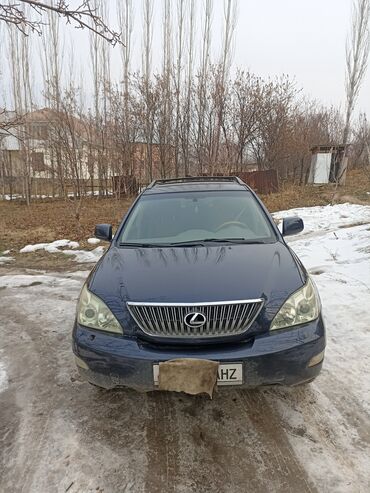 Lexus: Lexus RX: 2003 г., 3.3 л, Автомат, Бензин, Универсал