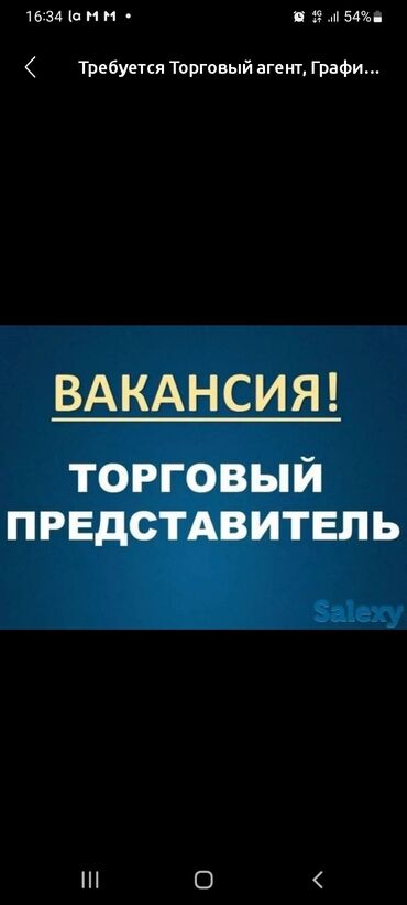 работа бегемот: Требуется Торговый агент, График: Шестидневка, 1-2 года опыта, Карьерный рост, Полный рабочий день