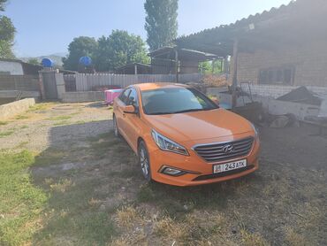 кармашек к5: Hyundai Sonata: 2018 г., 2 л, Автомат, Газ, Седан