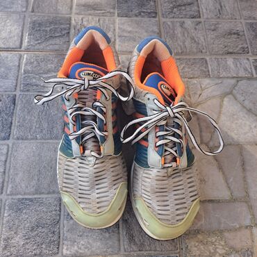 ivet rs obuca patike: Trainers, Adidas, size - 41