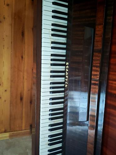 Музыкальные инструменты: Belarus (Беларусь) akustik pianino – upright model - Korpus: klassik — 4