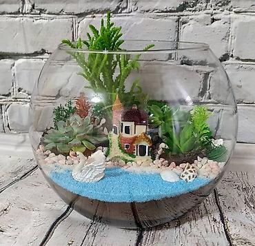 Akvariumlar: Akvarium İstənilən növdə, ölçüdə yumru akvariumlar, terrariumlar — 14