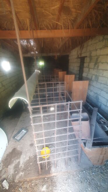 Həyət evləri və villaların satışı: 5 otaqlı, 180 kv. m, Kredit yoxdur, Orta təmir — 19