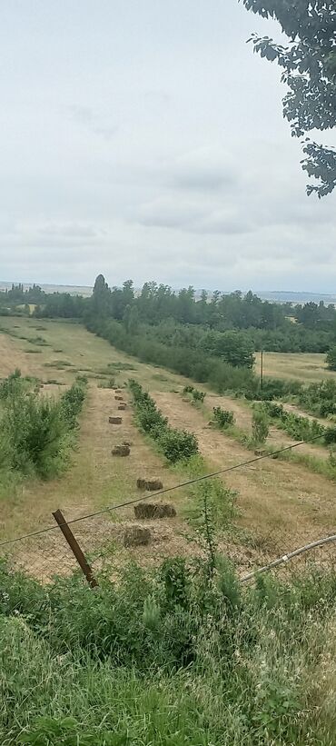 Torpaq sahələrinin satışı: Kənd təsərrüfatı, Mülkiyyətçi — 22