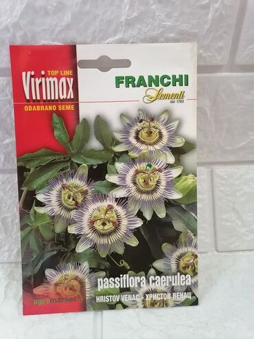 Semena i sadnice: Cena 500din/kesica — 27