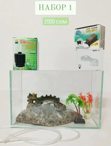 аквариум маленький: Новый аквариум в комплекте объём 5 л. В комплект входит необходимое