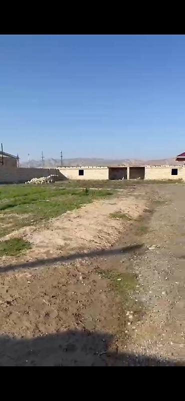 kirayə ev zabrat 1: 12 sot, Kənd təsərrüfatı, Kupça (Çıxarış) — 9